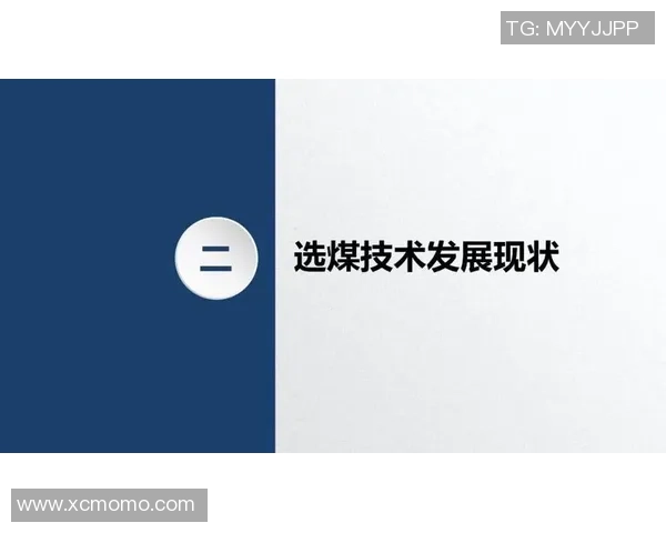 南京极限运动队的意识探讨与发展现状分析及未来展望 南京极限运动队的意识探讨与发展现状分析及未来展望