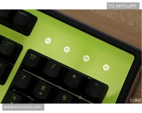 杨秀英畅谈CSGO职业生涯与游戏发展历程的深度回顾