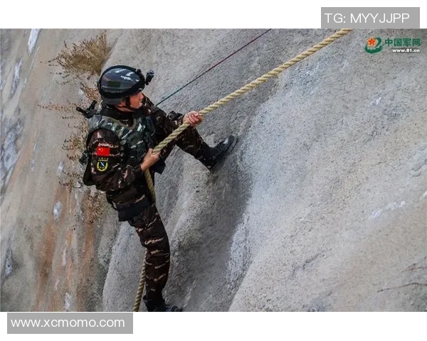 武汉攀岩队战术对比深度解析与未来发展趋势探讨