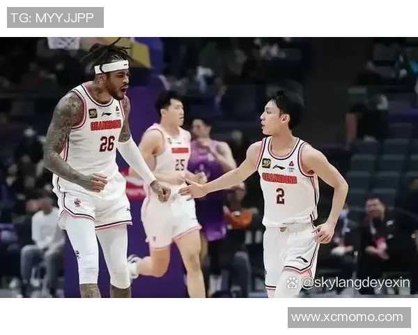 武汉篮球队的灵活性揭秘：从战术到球员的多样化探索