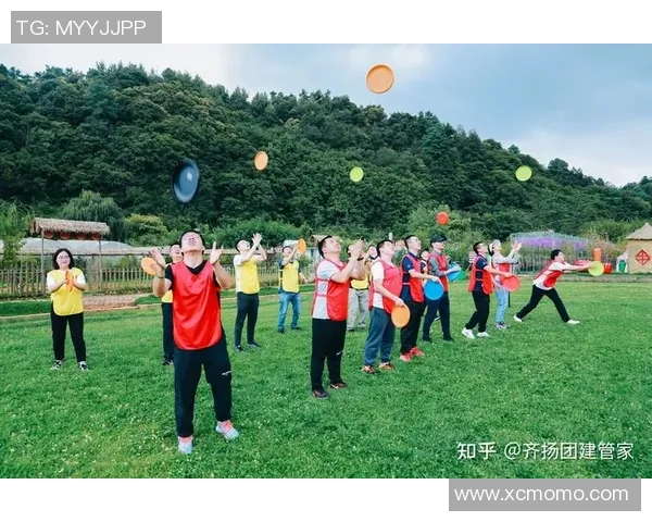 聚焦飞盘运动:探讨北京飞盘队员的个人能力与团队协作发展 聚焦飞盘运动:探讨北京飞盘队员的个人能力与团队协作发展