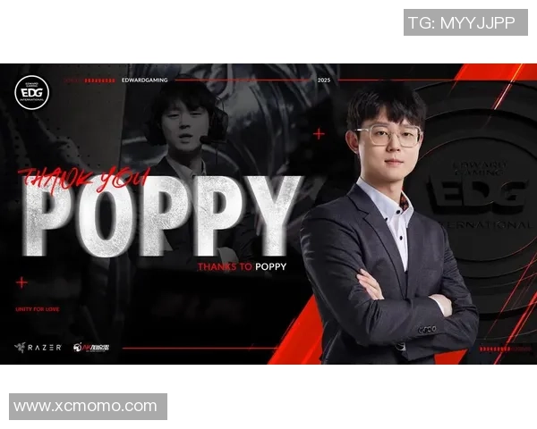 英雄联盟盛宴：深入解析EDG战队背后的强大实力与团队精神