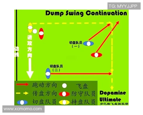 北京飞盘队与成都飞盘队赛后复盘分析力量对比与战术探讨